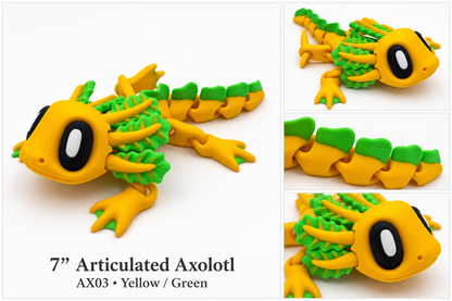 Axolotl