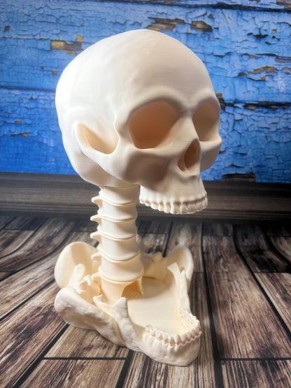 Skeleton