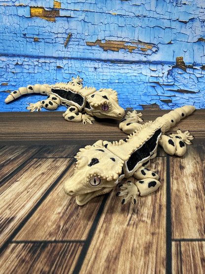 Crested Gecko