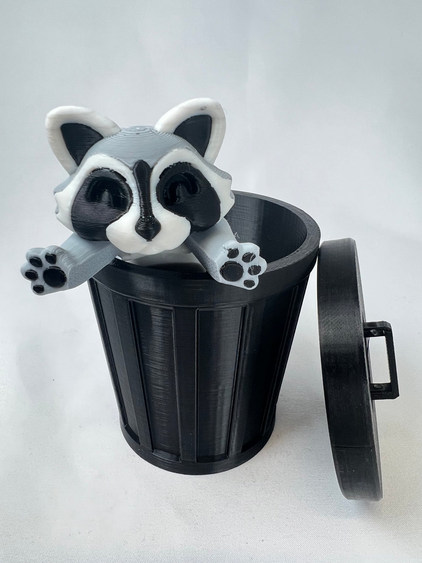 Raccoons - Trash Pandas