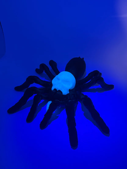 XL spider showing blue glow skull